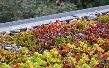the cost of Tyersal green roof installation