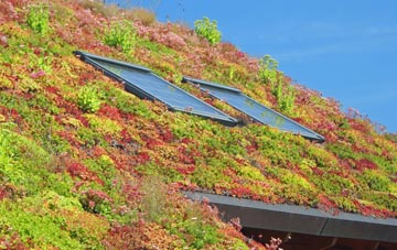 Tyersal living roof systems